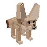Fennec Fox